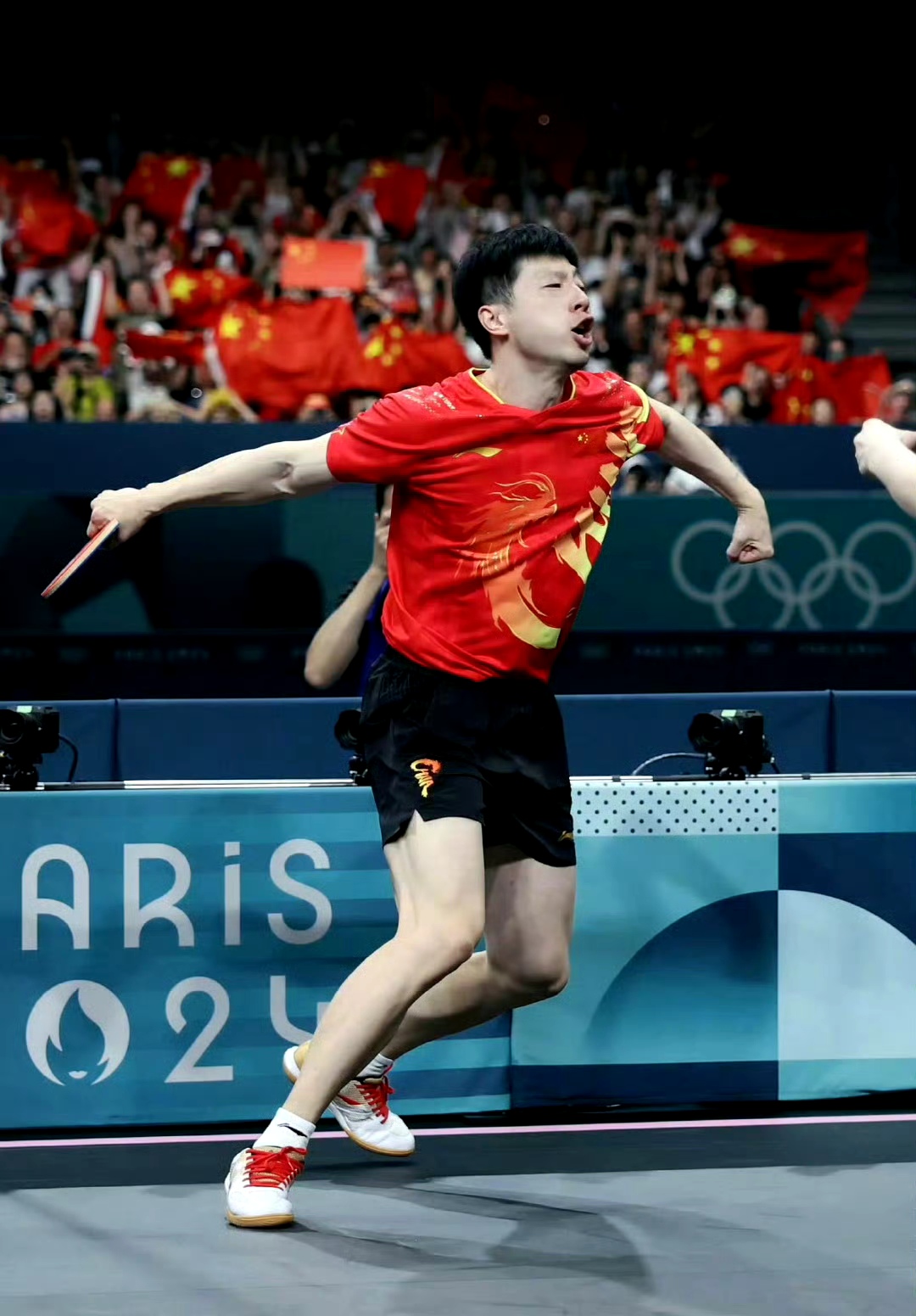 法国乒乓球队险胜比利时乒乓球队，马龙三分雨点燃全场