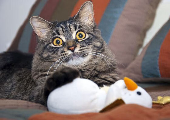 布克数据全面爆炸引领篮网横扫雄鹿，新时代篮球的战术革命