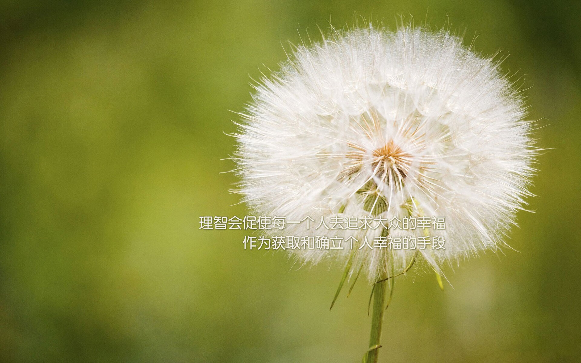 从NBA季后赛焦点战到沙特淘汰赛，跨越体育版图的关键球艺术