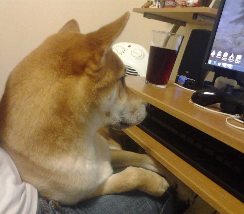 末节行者，当西亚卡姆的肩，扛起一整座城市的篮球梦