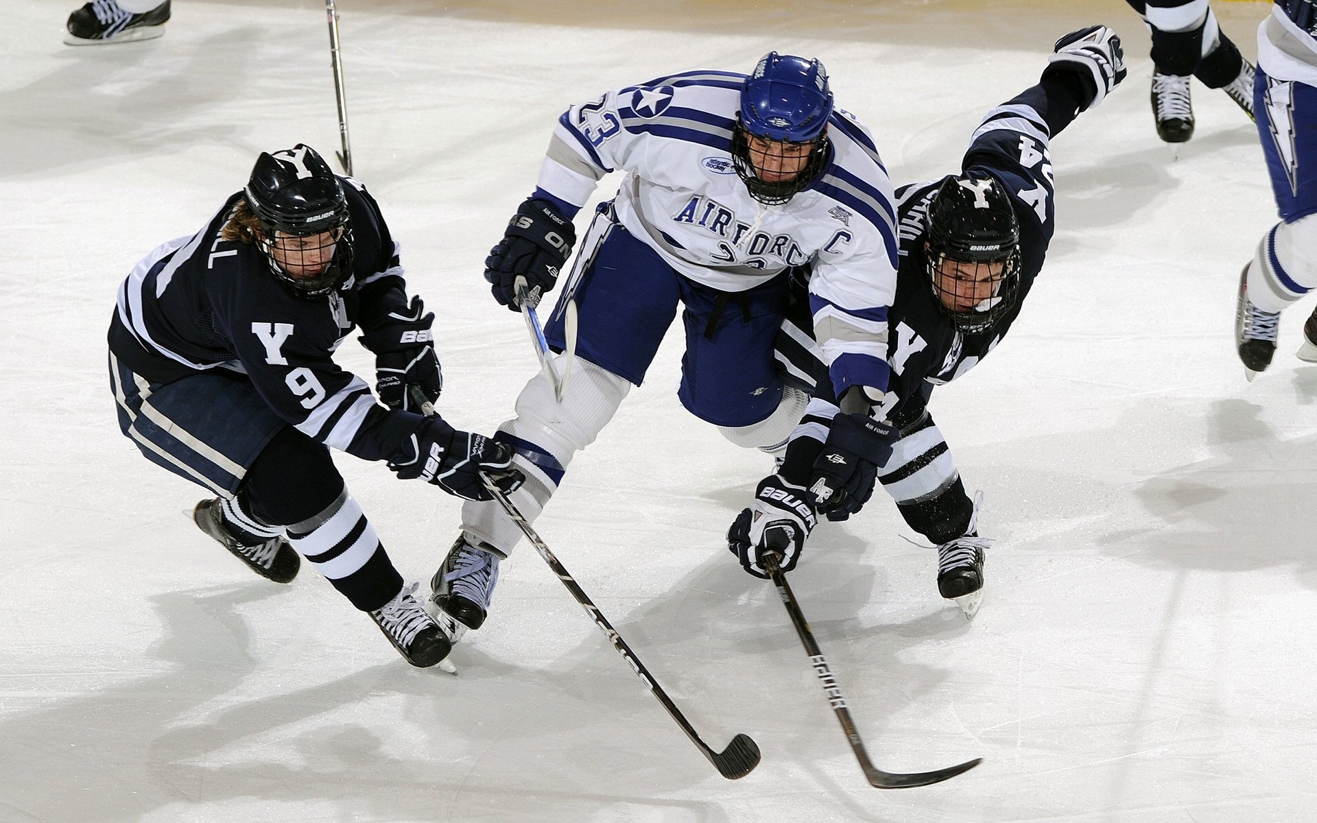 布克节奏艺术，掌控全局的指挥家，开拓者提前终结公牛悬念