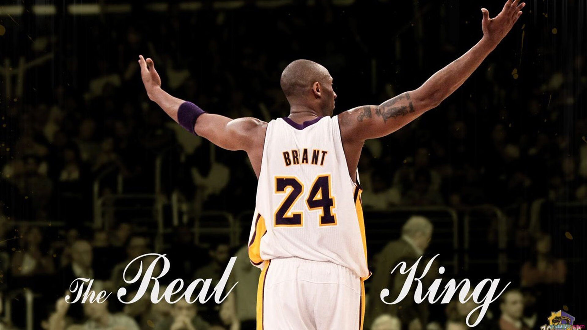 黄蜂封锁奇才，浓眉季后赛接管模式开启，唯一性如何定义伟大？